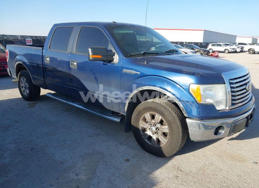 2010 Ford F-150 FX4/HARLEY-DAVIDSON/KING RANCH/LARIAT/PLATINUM/XL/XLT (VIN 1FTFW1EV5AFD68398) main photo