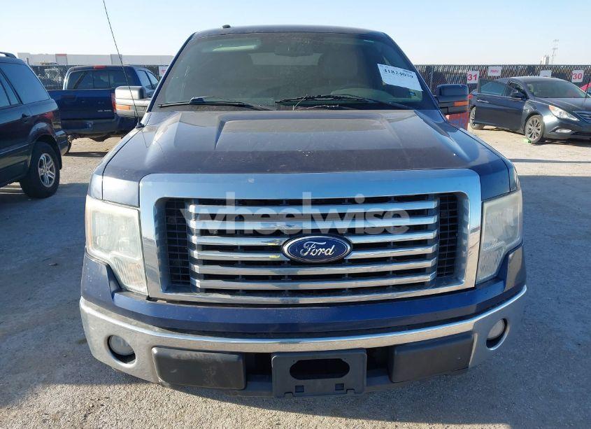 Photo 12 of 2010 Ford F-150 FX4/HARLEY-DAVIDSON/KING RANCH/LARIAT/PLATINUM/XL/XLT (VIN 1FTFW1EV5AFD68398)
