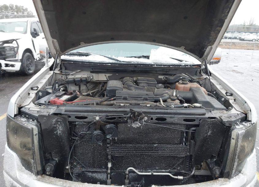 Photo 10 of 2010 Ford F-150 FX4/HARLEY-DAVIDSON/KING RANCH/LARIAT/PLATINUM/XL/XLT (VIN 1FTFW1EV5AFD94595)