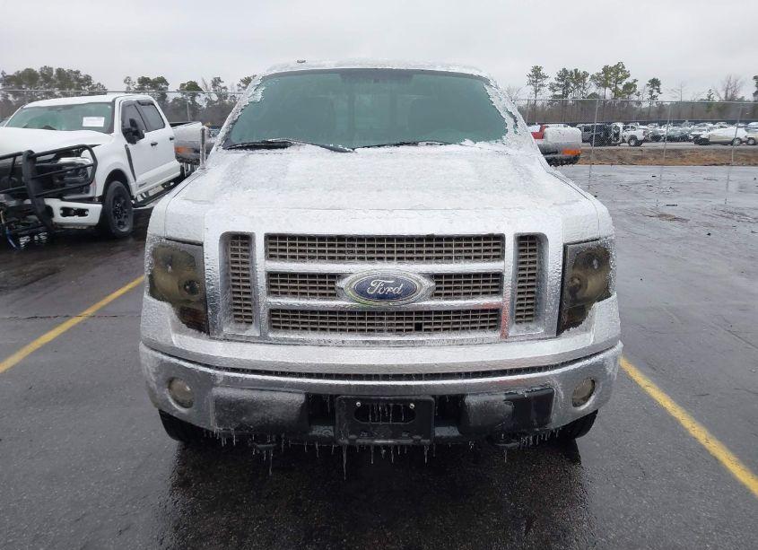 Photo 12 of 2010 Ford F-150 FX4/HARLEY-DAVIDSON/KING RANCH/LARIAT/PLATINUM/XL/XLT (VIN 1FTFW1EV5AFD94595)