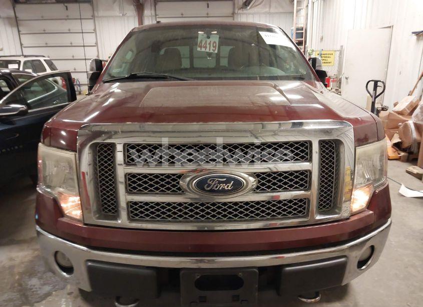 Photo 12 of 2010 Ford F-150 FX4/HARLEY-DAVIDSON/KING RANCH/LARIAT/PLATINUM/XL/XLT (VIN 1FTFW1EV5AKA75110)
