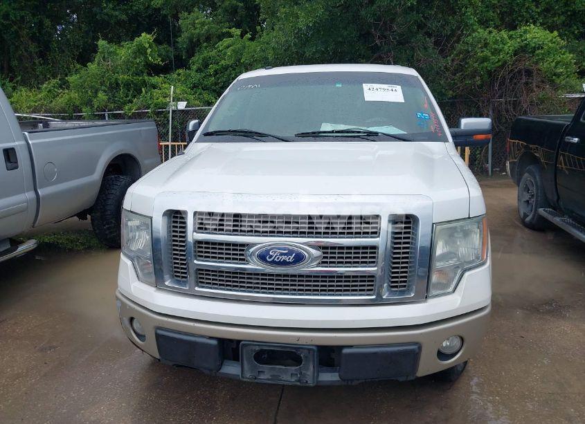Photo 12 of 2010 Ford F-150 FX4/HARLEY-DAVIDSON/KING RANCH/LARIAT/PLATINUM/XL/XLT (VIN 1FTFW1EV5AKB69357)