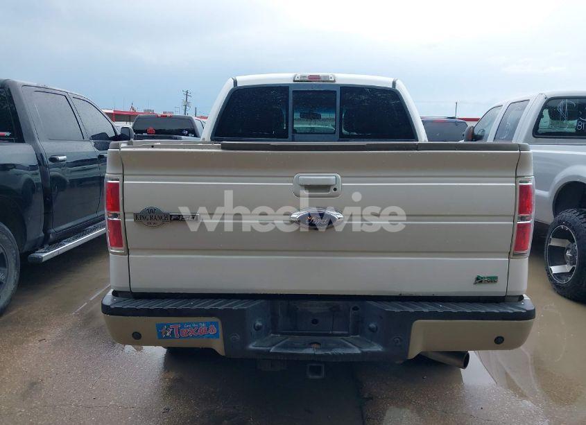 Photo 16 of 2010 Ford F-150 FX4/HARLEY-DAVIDSON/KING RANCH/LARIAT/PLATINUM/XL/XLT (VIN 1FTFW1EV5AKB69357)