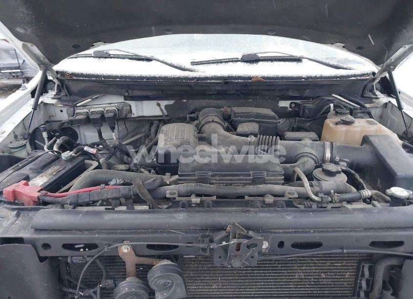 Photo 10 of 2010 Ford F-150 FX4/HARLEY-DAVIDSON/KING RANCH/LARIAT/PLATINUM/XL/XLT (VIN 1FTFW1EV5AKC18329)