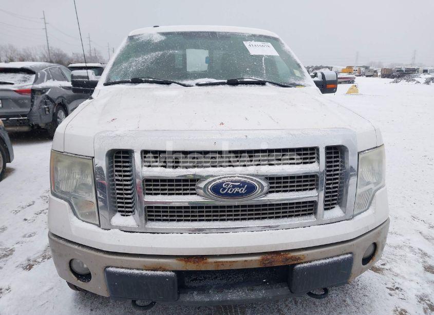 Photo 12 of 2010 Ford F-150 FX4/HARLEY-DAVIDSON/KING RANCH/LARIAT/PLATINUM/XL/XLT (VIN 1FTFW1EV5AKC18329)