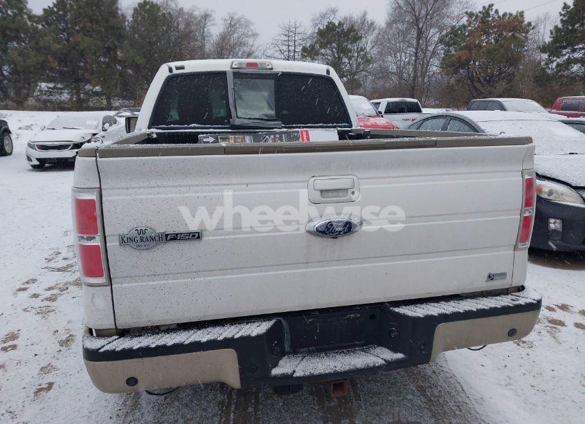 Photo 16 of 2010 Ford F-150 FX4/HARLEY-DAVIDSON/KING RANCH/LARIAT/PLATINUM/XL/XLT (VIN 1FTFW1EV5AKC18329)