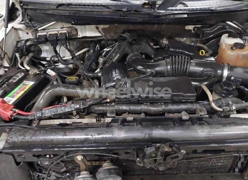 Photo 10 of 2010 Ford F-150 FX4/HARLEY-DAVIDSON/KING RANCH/LARIAT/PLATINUM/XL/XLT (VIN 1FTFW1EV5AKE30566)