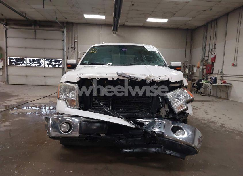 Photo 12 of 2010 Ford F-150 FX4/HARLEY-DAVIDSON/KING RANCH/LARIAT/PLATINUM/XL/XLT (VIN 1FTFW1EV5AKE30566)