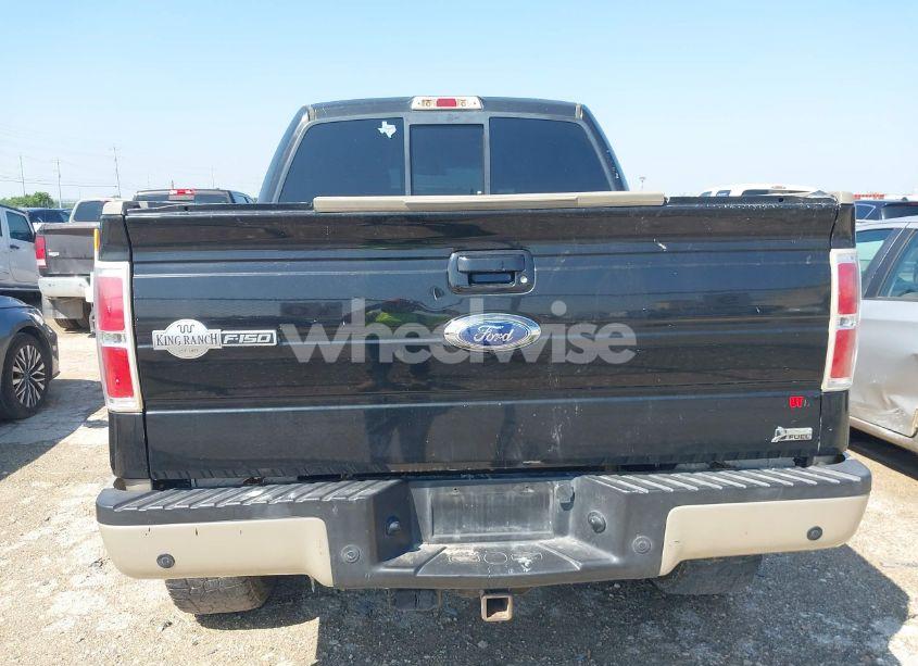 Photo 16 of 2010 Ford F-150 FX4/HARLEY-DAVIDSON/KING RANCH/LARIAT/PLATINUM/XL/XLT (VIN 1FTFW1EV5AKE69528)