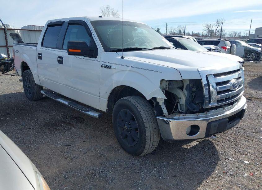 2010 Ford F-150 FX4/HARLEY-DAVIDSON/KING RANCH/LARIAT/PLATINUM/XL/XLT (VIN 1FTFW1EV6AFA14423) main photo