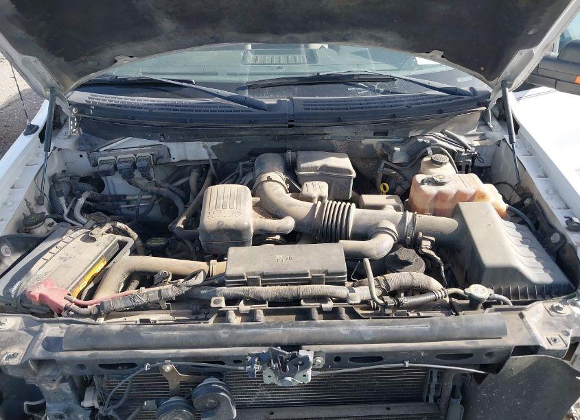 Photo 10 of 2010 Ford F-150 FX4/HARLEY-DAVIDSON/KING RANCH/LARIAT/PLATINUM/XL/XLT (VIN 1FTFW1EV6AFA14423)