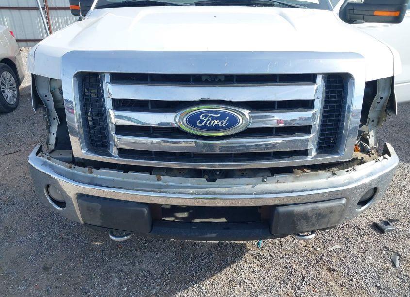 Photo 6 of 2010 Ford F-150 FX4/HARLEY-DAVIDSON/KING RANCH/LARIAT/PLATINUM/XL/XLT (VIN 1FTFW1EV6AFA14423)