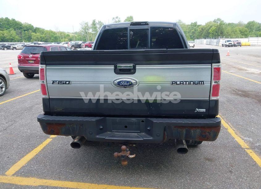 Photo 16 of 2010 Ford F-150 FX4/HARLEY-DAVIDSON/KING RANCH/LARIAT/PLATINUM/XL/XLT (VIN 1FTFW1EV6AFA16804)
