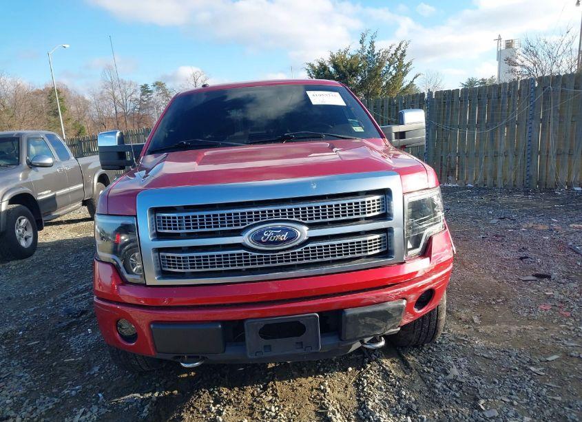 Photo 12 of 2010 Ford F-150 FX4/HARLEY-DAVIDSON/KING RANCH/LARIAT/PLATINUM/XL/XLT (VIN 1FTFW1EV6AFA29777)