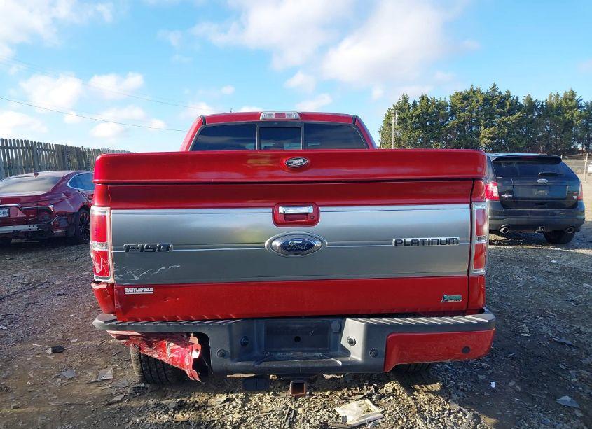 Photo 16 of 2010 Ford F-150 FX4/HARLEY-DAVIDSON/KING RANCH/LARIAT/PLATINUM/XL/XLT (VIN 1FTFW1EV6AFA29777)