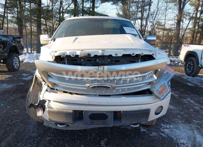 Photo 12 of 2010 Ford F-150 FX4/HARLEY-DAVIDSON/KING RANCH/LARIAT/PLATINUM/XL/XLT (VIN 1FTFW1EV6AFB54407)