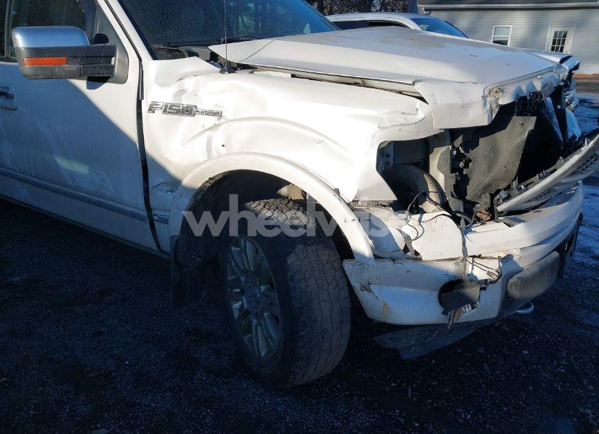 Photo 17 of 2010 Ford F-150 FX4/HARLEY-DAVIDSON/KING RANCH/LARIAT/PLATINUM/XL/XLT (VIN 1FTFW1EV6AFB54407)