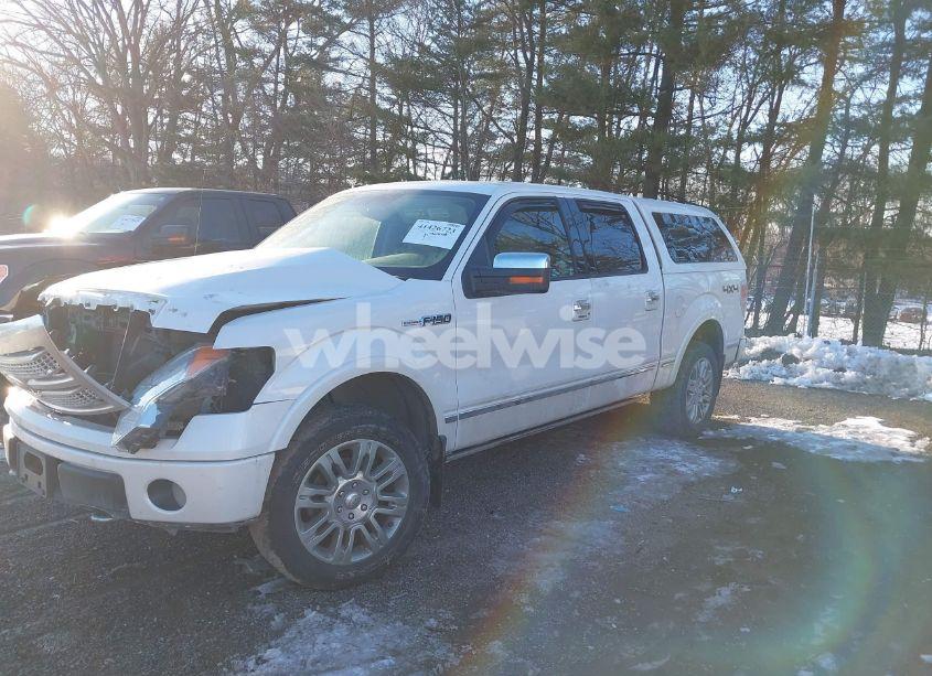 Photo 2 of 2010 Ford F-150 FX4/HARLEY-DAVIDSON/KING RANCH/LARIAT/PLATINUM/XL/XLT (VIN 1FTFW1EV6AFB54407)