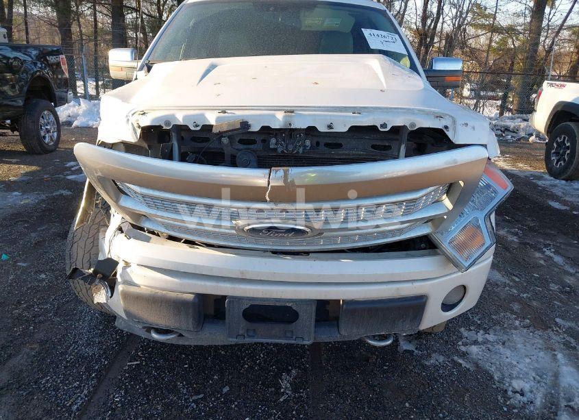 Photo 6 of 2010 Ford F-150 FX4/HARLEY-DAVIDSON/KING RANCH/LARIAT/PLATINUM/XL/XLT (VIN 1FTFW1EV6AFB54407)