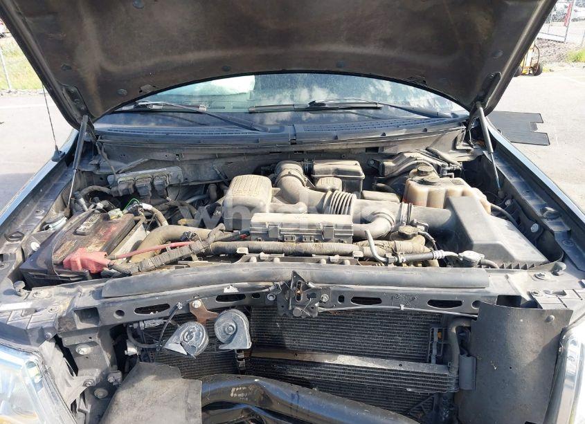 Photo 10 of 2010 Ford F-150 FX4/HARLEY-DAVIDSON/KING RANCH/LARIAT/PLATINUM/XL/XLT (VIN 1FTFW1EV6AFB59381)