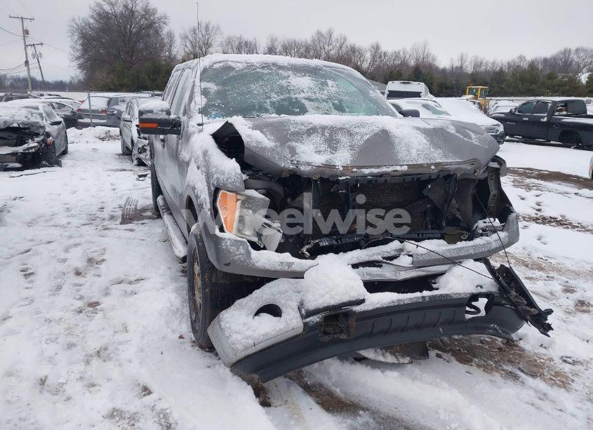 2010 Ford F-150 FX4/HARLEY-DAVIDSON/KING RANCH/LARIAT/PLATINUM/XL/XLT (VIN 1FTFW1EV6AFB77430) main photo