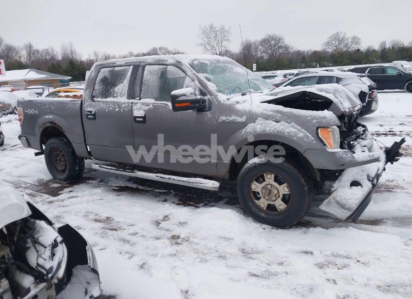 Photo 13 of 2010 Ford F-150 FX4/HARLEY-DAVIDSON/KING RANCH/LARIAT/PLATINUM/XL/XLT (VIN 1FTFW1EV6AFB77430)