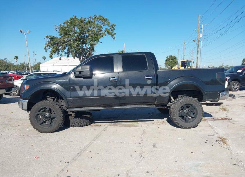 Photo 14 of 2010 Ford F-150 FX4/HARLEY-DAVIDSON/KING RANCH/LARIAT/PLATINUM/XL/XLT (VIN 1FTFW1EV6AFC21748)