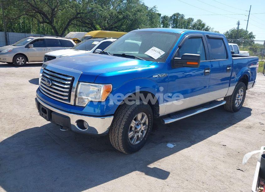 Photo 2 of 2010 Ford F-150 FX4/HARLEY-DAVIDSON/KING RANCH/LARIAT/PLATINUM/XL/XLT (VIN 1FTFW1EV6AFC93792)