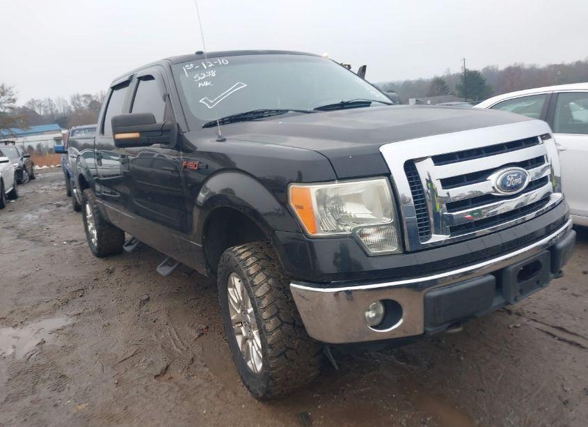 2010 Ford F-150 FX4/HARLEY-DAVIDSON/KING RANCH/LARIAT/PLATINUM/XL/XLT (VIN 1FTFW1EV6AKB04873) main photo