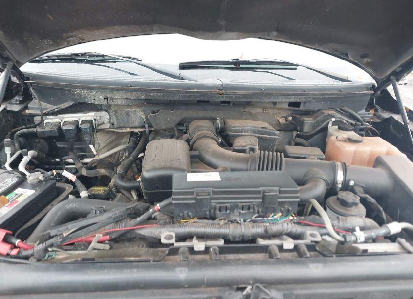 Photo 10 of 2010 Ford F-150 FX4/HARLEY-DAVIDSON/KING RANCH/LARIAT/PLATINUM/XL/XLT (VIN 1FTFW1EV6AKB04873)