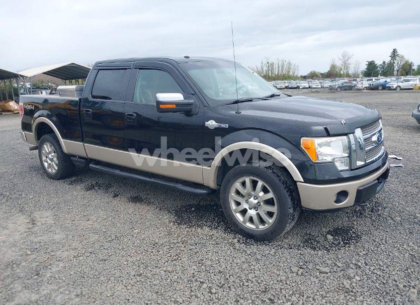 2010 Ford F-150 FX4/HARLEY-DAVIDSON/KING RANCH/LARIAT/PLATINUM/XL/XLT (VIN 1FTFW1EV6AKB25237) main photo