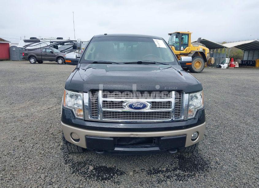 Photo 12 of 2010 Ford F-150 FX4/HARLEY-DAVIDSON/KING RANCH/LARIAT/PLATINUM/XL/XLT (VIN 1FTFW1EV6AKB25237)