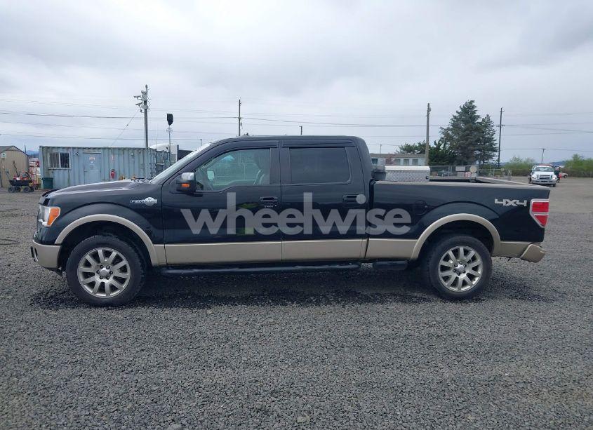 Photo 14 of 2010 Ford F-150 FX4/HARLEY-DAVIDSON/KING RANCH/LARIAT/PLATINUM/XL/XLT (VIN 1FTFW1EV6AKB25237)