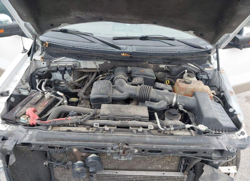 Photo 10 of 2010 Ford F-150 FX4/HARLEY-DAVIDSON/KING RANCH/LARIAT/PLATINUM/XL/XLT (VIN 1FTFW1EV6AKB32592)