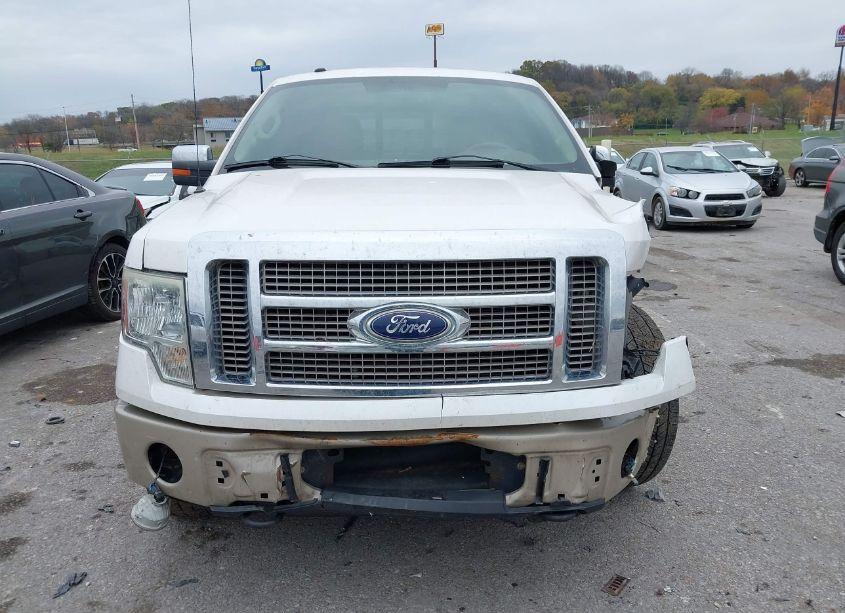 Photo 12 of 2010 Ford F-150 FX4/HARLEY-DAVIDSON/KING RANCH/LARIAT/PLATINUM/XL/XLT (VIN 1FTFW1EV6AKB32592)