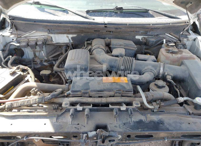 Photo 10 of 2010 Ford F-150 FX4/HARLEY-DAVIDSON/KING RANCH/LARIAT/PLATINUM/XL/XLT (VIN 1FTFW1EV6AKC00275)