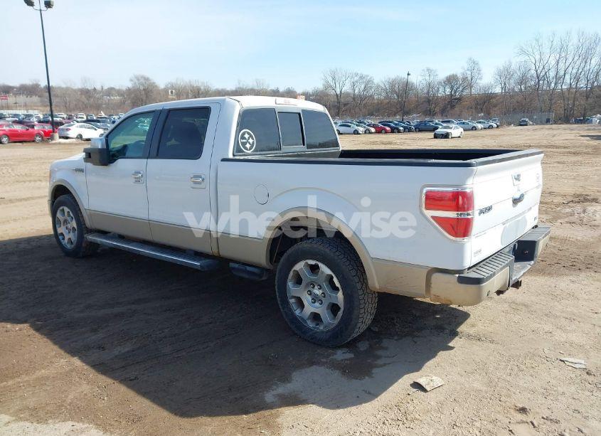 Photo 3 of 2010 Ford F-150 FX4/HARLEY-DAVIDSON/KING RANCH/LARIAT/PLATINUM/XL/XLT (VIN 1FTFW1EV6AKC00275)