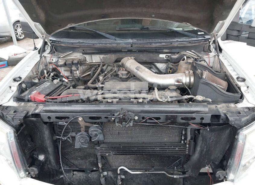 Photo 10 of 2010 Ford F-150 FX4/HARLEY-DAVIDSON/KING RANCH/LARIAT/PLATINUM/XL/XLT (VIN 1FTFW1EV6AKC01524)