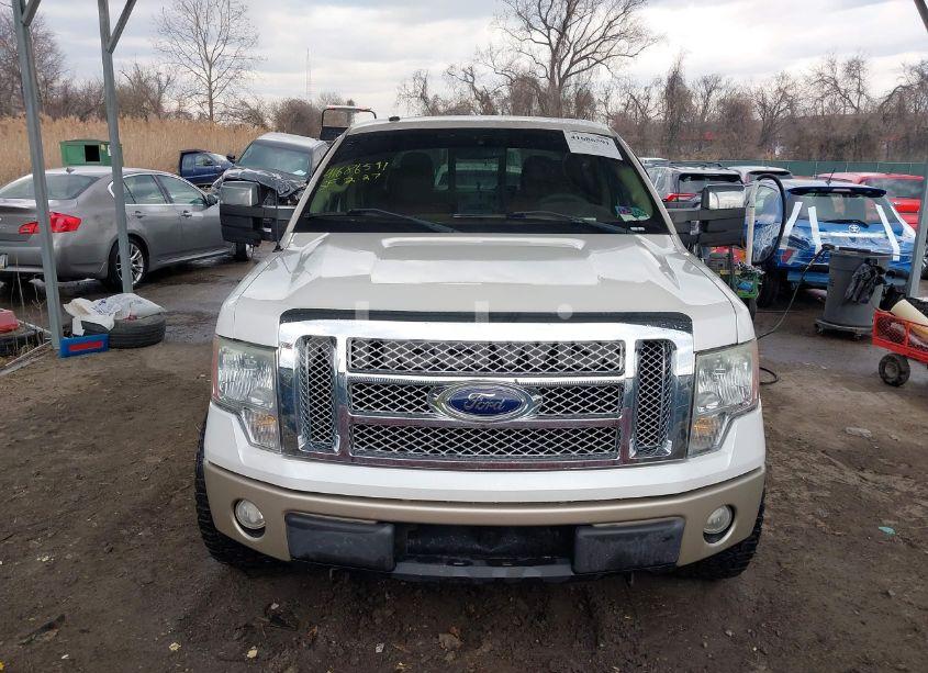 Photo 12 of 2010 Ford F-150 FX4/HARLEY-DAVIDSON/KING RANCH/LARIAT/PLATINUM/XL/XLT (VIN 1FTFW1EV6AKC01524)
