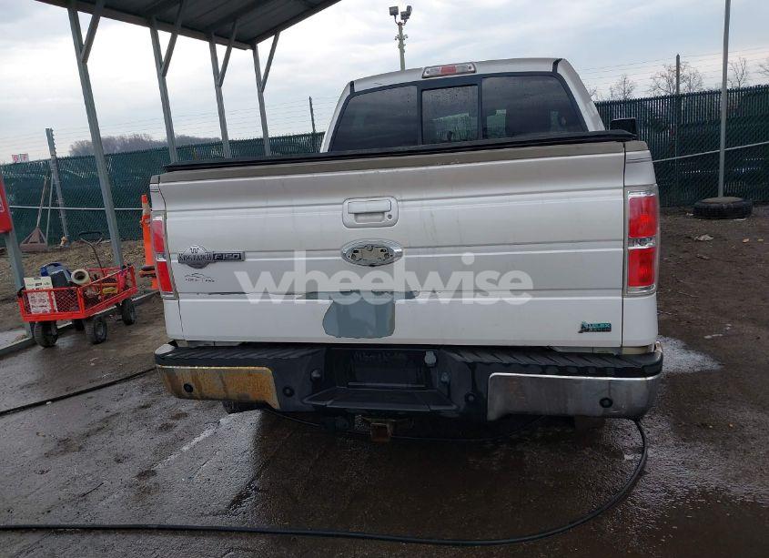 Photo 16 of 2010 Ford F-150 FX4/HARLEY-DAVIDSON/KING RANCH/LARIAT/PLATINUM/XL/XLT (VIN 1FTFW1EV6AKC01524)