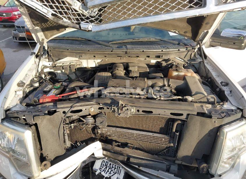 Photo 10 of 2010 Ford F-150 FX4/HARLEY-DAVIDSON/KING RANCH/LARIAT/PLATINUM/XL/XLT (VIN 1FTFW1EV6AKE64743)