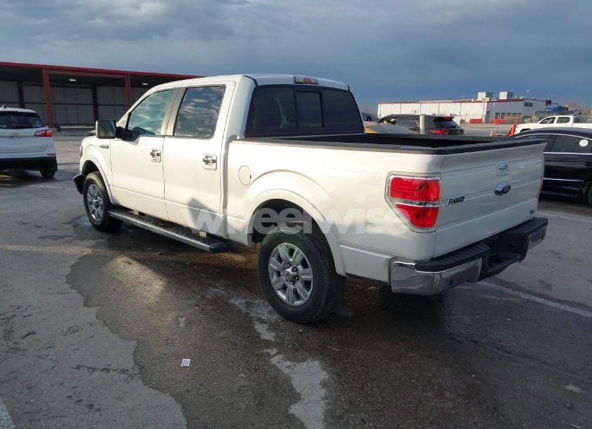 Photo 3 of 2010 Ford F-150 FX4/HARLEY-DAVIDSON/KING RANCH/LARIAT/PLATINUM/XL/XLT (VIN 1FTFW1EV6AKE64743)