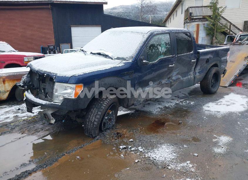 Photo 2 of 2010 Ford F-150 FX4/HARLEY-DAVIDSON/KING RANCH/LARIAT/PLATINUM/XL/XLT (VIN 1FTFW1EV7AFB50429)