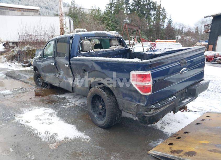 Photo 3 of 2010 Ford F-150 FX4/HARLEY-DAVIDSON/KING RANCH/LARIAT/PLATINUM/XL/XLT (VIN 1FTFW1EV7AFB50429)