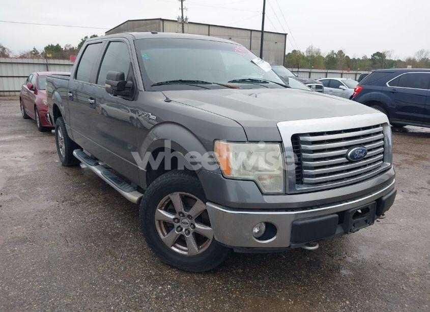 2010 Ford F-150 FX4/HARLEY-DAVIDSON/KING RANCH/LARIAT/PLATINUM/XL/XLT (VIN 1FTFW1EV7AFC10547) main photo