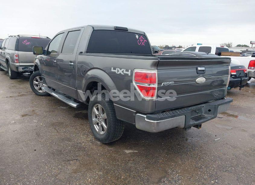 Photo 3 of 2010 Ford F-150 FX4/HARLEY-DAVIDSON/KING RANCH/LARIAT/PLATINUM/XL/XLT (VIN 1FTFW1EV7AFC10547)