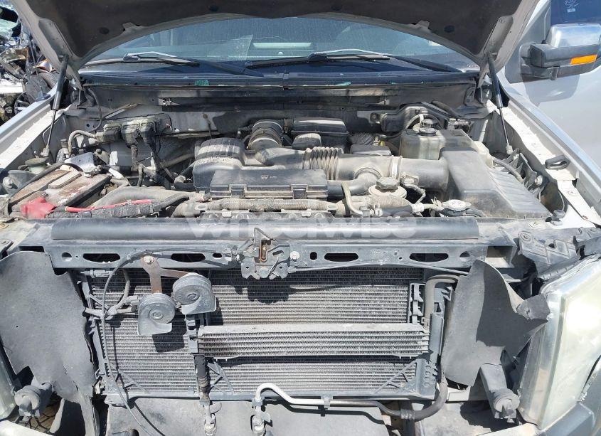 Photo 10 of 2010 Ford F-150 FX4 (VIN 1FTFW1EV7AFC58372)