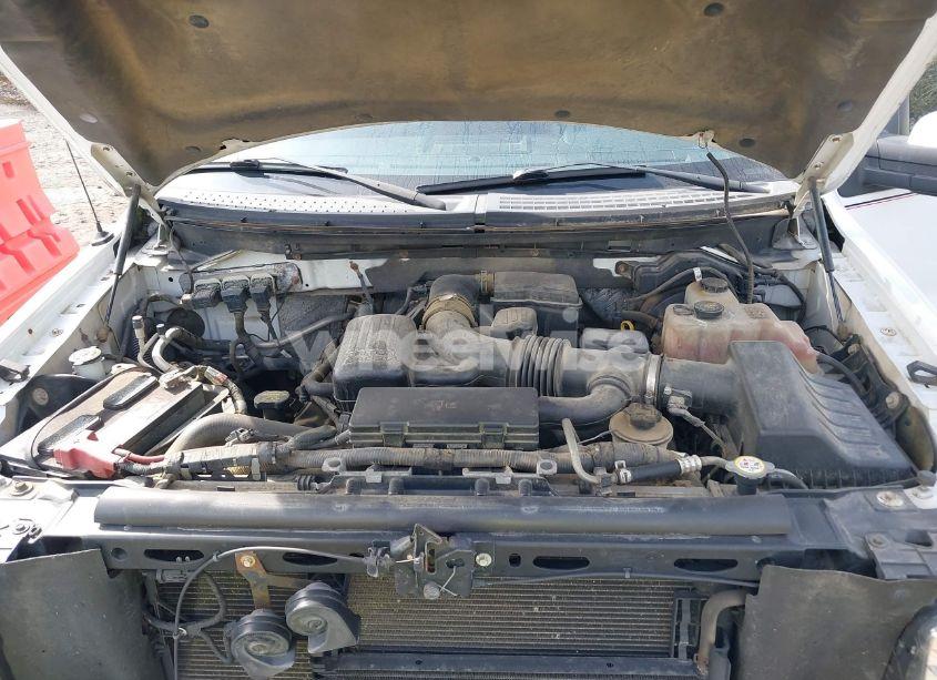 Photo 10 of 2010 Ford F-150 FX4/HARLEY-DAVIDSON/KING RANCH/LARIAT/PLATINUM/XL/XLT (VIN 1FTFW1EV7AFC82879)