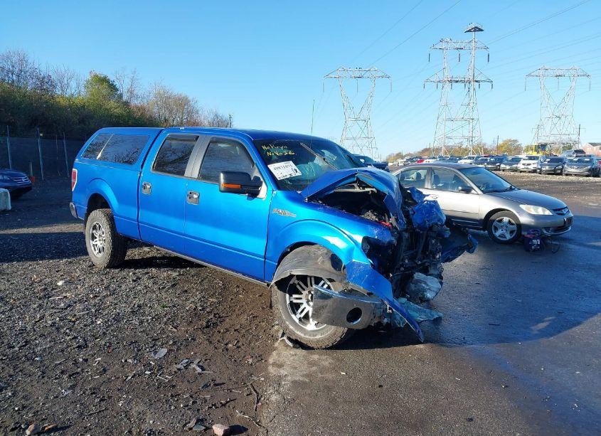 2010 Ford F-150 (VIN 1FTFW1EV7AFD01043) main photo