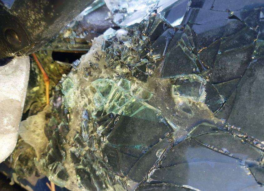 Photo 9 of 2010 Ford F-150 (VIN 1FTFW1EV7AFD01043)